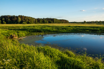 Obraz na płótnie Canvas Beautiful landscape with pond, forest and meadow, Poland