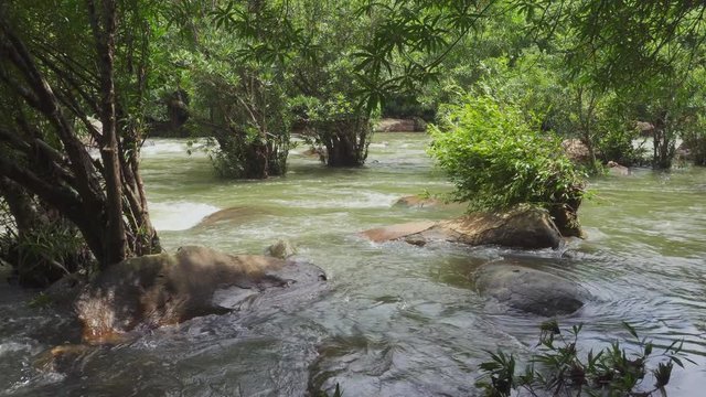  Main stream from Takhro waterfall after heavily rainy night , Prachantakham, Prachin Buri, Thailand