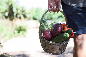 young man with a basket full of vegetables