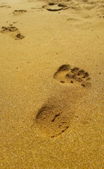 Fototapeta na wymiar Impronte in spiaggia al mare