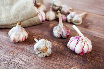 Garlic. Garlic Cloves and Garlic Bulb on a wooden vintage rustic table.