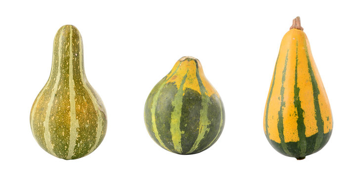 The close-up of pumpkin isolated on white background
