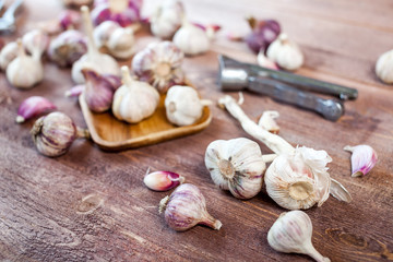 Garlic. Garlic Cloves and Garlic Bulb on a wooden vintage rustic table.