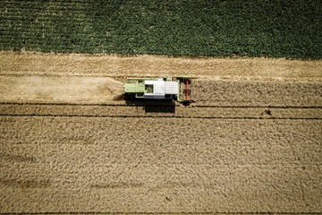 Obraz na płótnie Canvas Green combine harvester harvesting wheat on a field in Austria in summer