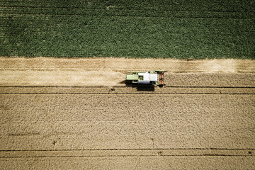 Fototapeta na wymiar Green combine harvester harvesting wheat on a field in Austria in summer