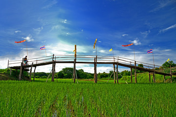 Rural Green rice fields and bamboo bridge. Place name Sutongpe Bridge. the longest wooden bridge located in lampang province The Northern of Thailand.