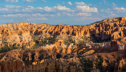 Naklejka premium Scenery in Bryce Canyon National Park, under warm sunrise light