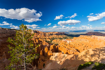 Scenery in Bryce Canyon National Park, under warm sunrise light