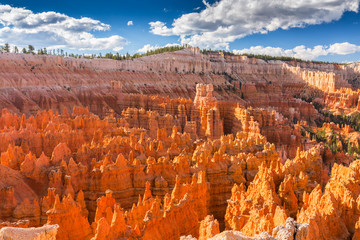 Scenery in Bryce Canyon National Park, under warm sunrise light