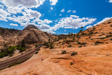 Autumn scenery in Zion National Park, with red sandstone rocks