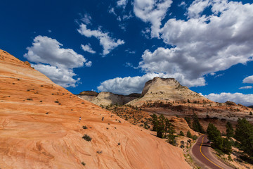 Autumn scenery in Zion National Park, with red sandstone rocks