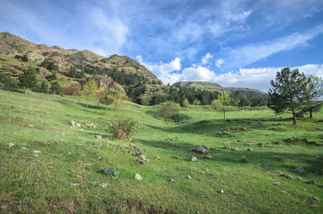 Fototapeta na wymiar Green caucasus mountains landscape in evening, natural background