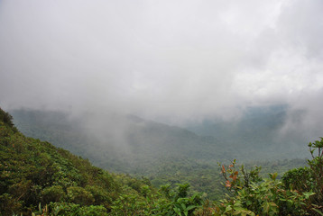Monteverde, forêt de nuages