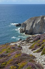 Cap de la chèvre, Finistère, Bretagne, France