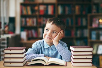 Boy enjoying books