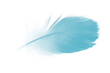 feather color turquoise emerald green on white background