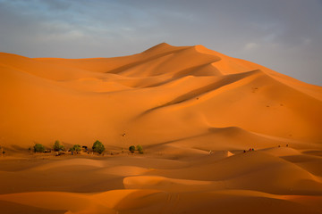 Fototapeta na wymiar Sunrise at Erg Chebbi sand dune of Sahara, Merzouga, Morocco