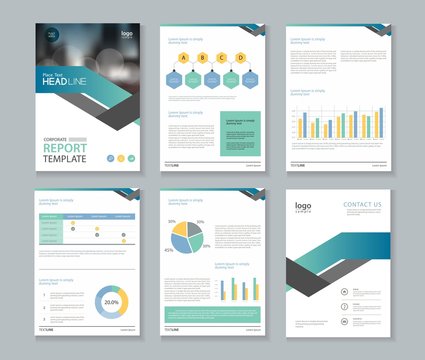 company profile ,annual report , brochure , flyer, page layout template,and business info chart element template