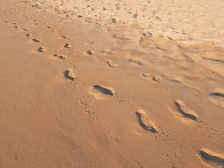 One pair of footprints on wet sand beach, walking toward viewer