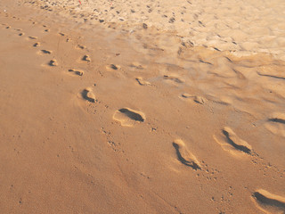 Fototapeta na wymiar One pair of footprints on wet sand beach, walking toward viewer