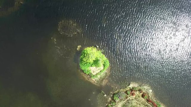 Aerial view of a little island with one single tree