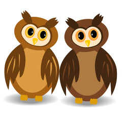 Two brown, awake owls with open eyes looking at each other