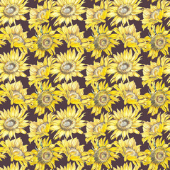 Fototapeta na wymiar Illustration in watercolor of a Sunflowers. Floral card with flowers. Botanical illustration seamless pattern.