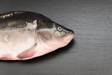 Fresh mirror carp lying on a dark Board.