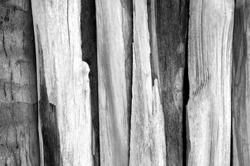Abstract old texture wood wall. Bark rough plank table pattern with rough texture background. Tree bark texture table. Vintage and retro. Black and white colors. Close up.
