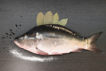 Fresh carp on the black Board with the Bay leaf and pepper salt.