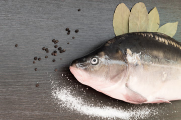 Fresh carp on the black Board with the Bay leaf and pepper salt.