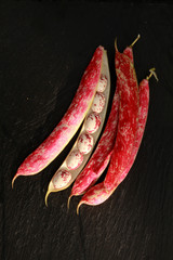rote Bohne auf schwarzem stein