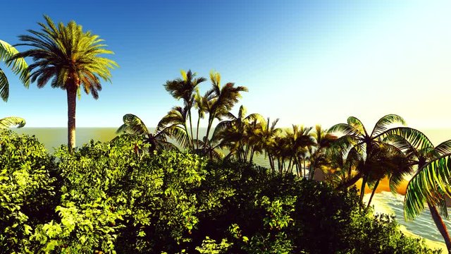 Lush exotic vegetation in tropical jungle