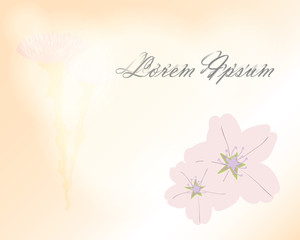 Fototapeta na wymiar beautiful sweet vintage hand drawing frame of sakura flowers, wedding ceremony invitation cards