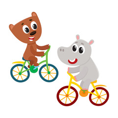 Cute little hippo and bear, kitten characters riding bicycles together, cartoon vector illustration isolated on white background. Baby hippo and bear, kitten animal characters riding bicycles, cycling