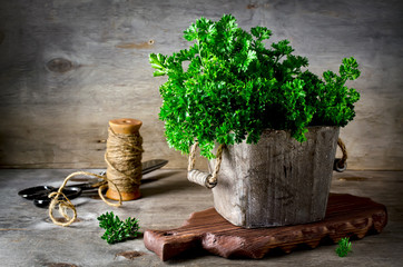 Parsley in wooden box