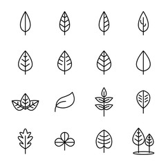 Leaf Vector Icons