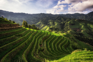 Obrazy na Szkle  Longi rice terrace