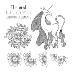 The Real Unicorn Collection