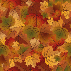 Autumn seamless pattern, vector illustration