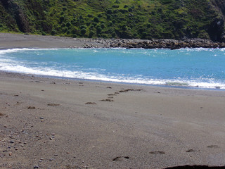 Footprints in the Sand