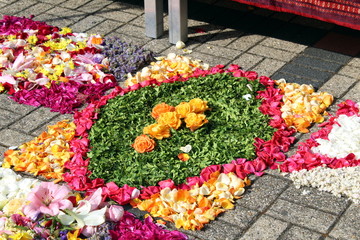Blumenteppich zu Froneichnam