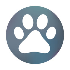 Farbiger Button - Pfote