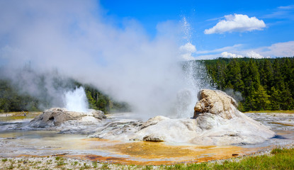 Steam and erupting waters rising above the large vent of Grotto Geyser in Upper Geyser Basin. Yellowstone National Park - Powered by Adobe