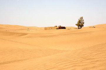 Desert landscape