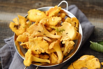 Fresh chanterelle mushrooms on a wooden background 