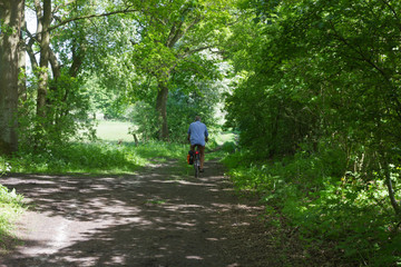 Mann mit Fahrrad fährt durch den Wald