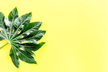 Fototapeta na wymiar Big leaf of tropical plant on yellow background top view copyspace