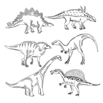 Stegosaurus, triceratops tyrannosaurus and other dinosaur types. Vector hand drawn pictures isolate