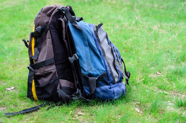 Backpacks on the green grass